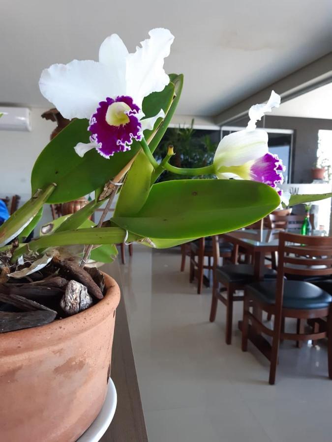 Wr Confort Campo Grande Hotel